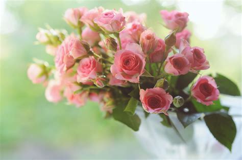 By buying australian made you are supporting local australian florists by keeping your money within our community. Advice For Mother's Day Flower Orders