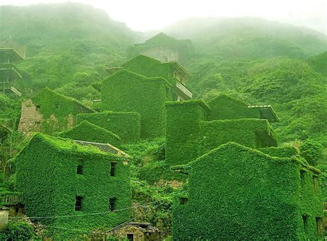 An Abandoned Chinese Fishing Village Gets Reclaimed By Nature Shengsi