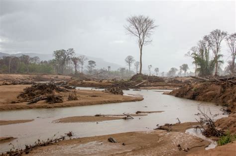 Deforestation Of Protected Areas After Laos Dam Collapse