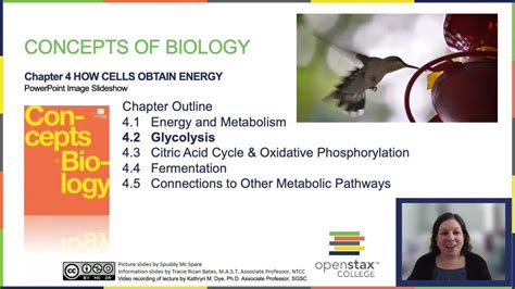 Openstax Concepts Of Biology Chapter 42 Youtube