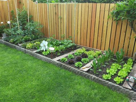Small Front Yard Vegetable Garden Ideas