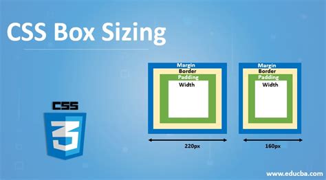 CSS Box Model And Box Sizing Netzwerk Academy