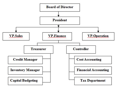 Plan, organize, and execute financial tasks and projects of the organization. What is business organization and management, life coach ...