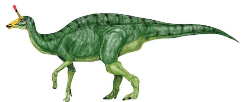 Dan's an expert in all things triassic, jurassic and cretaceous and he has a funny way of seeing dinosaurs in every situation some may say that dan has an active. Free dinosaur pictures free printables dinosaurs cliparts ...