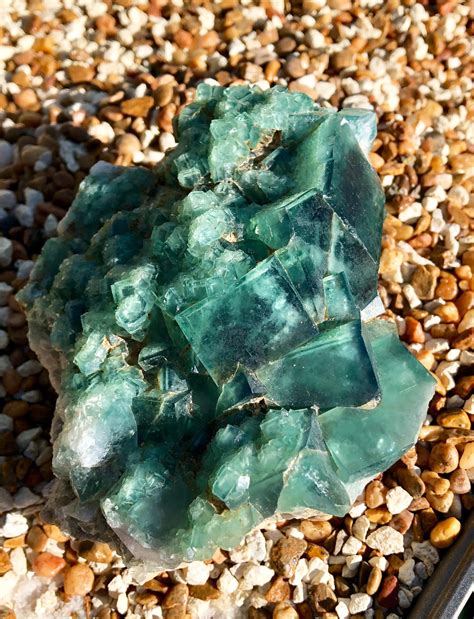 Large Dark Green Cubic Fluorite Crystal Cluster With Druzy Light Green