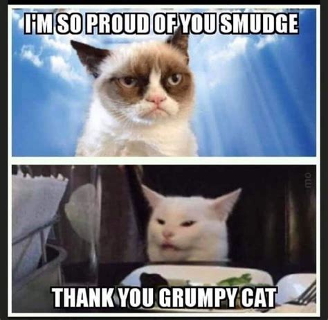 Pin By April Addington On Tard The Grumpy Cat Funny Grumpy Cat Memes