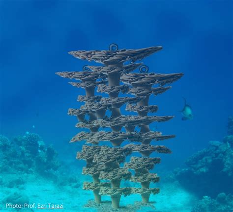 3d Printed Terra Cotta Tiles Create Artificial Reefs In The Red Sea