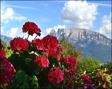 Dolomite Mountains in Italy From Klobenstein, Italy | Mountains in italy, Northern italy, Italy 