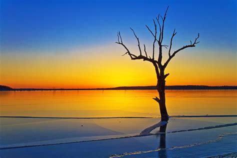 1920x1080 Resolution Photography Of Leafless Tree Near Body Of Water