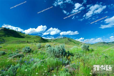 South Okanagan Grasslands Protected Area Southern Okanagan Valley