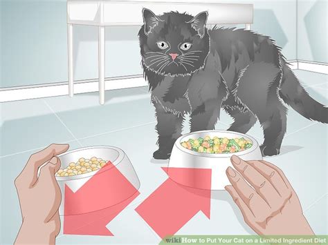 how to put your cat on a limited ingredient diet 12 steps
