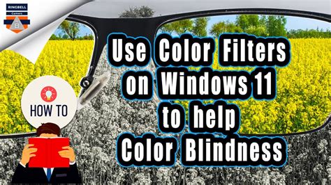How To Enable And Use Color Filters On Windows 11 Built In Color