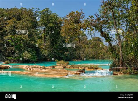 Agua Azul Cascades Waterfalls Midst Tropical Rainforest Chiapas