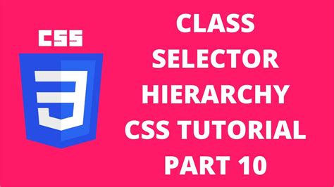 Class Selector Hierarchy Css Css Tutorial Part 10 Youtube