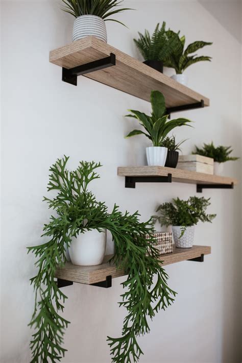 Indoor Plant Wall Shelf Ideas Leif Albertson