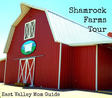 Shamrock Farms Tour East Valley Mom Guide