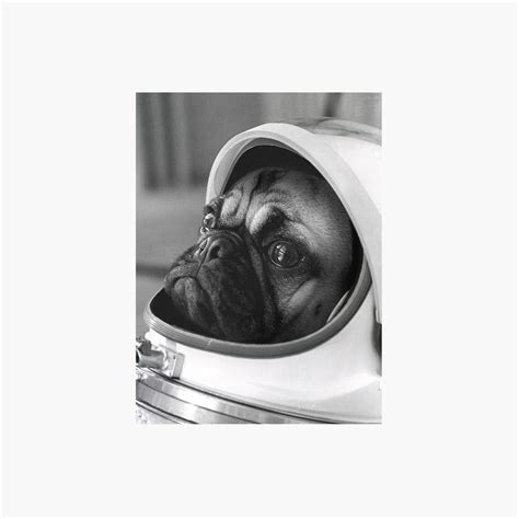 Pug Astronaut Print Pug T Wall Art Space Poster Etsy In 2021 Pug