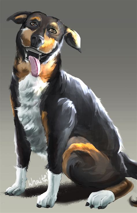 Derpdoge By Wraith8r On Newgrounds