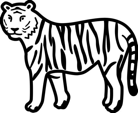 Free Black And White Tiger Clipart Download Free Black And White Tiger