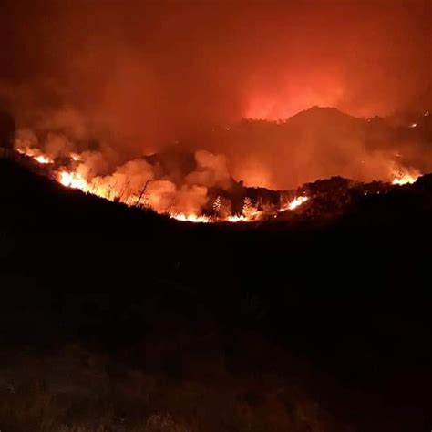 We did not find results for: Última Hora del Incendio de Gran Canaria.