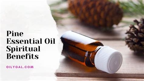 Pine Essential Oil Spiritual Benefits Use For Meditation And Massage Oily Gal