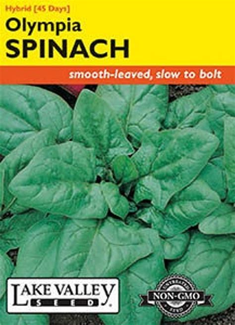 Lake Valley Spinach Olympia Hybrid Seed