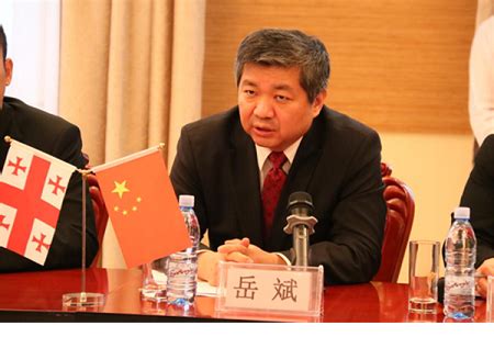 Malaysian visa application fees are composed of China wants visa free travel with Georgia