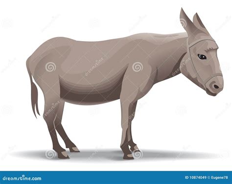 Donkey Illustration Stock Vector Illustration Of Pets 10874049