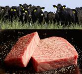 Those days seem to be behind us, says george owen, executive director of the american wagyu. Excellent KOBE Beef (Japan Premium Wagyu) Supplier - Kobe ...