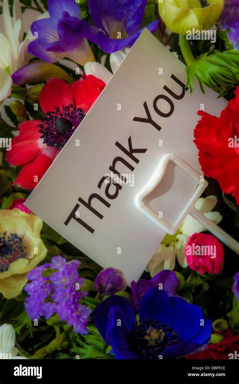 Thank You Flowers Hi Res Stock Photography And Images Alamy