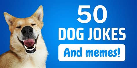 50 Funny Dog Jokes And Memes To Lift Everyones Spirits
