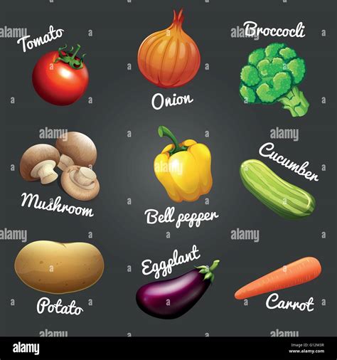 Verduras Frescas Con Nombres Ilustración Imagen Vector De Stock Alamy