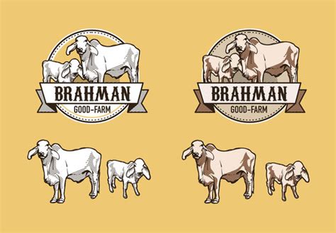 Brahman Cow Images Browse 20039 Stock Photos Vectors And Video