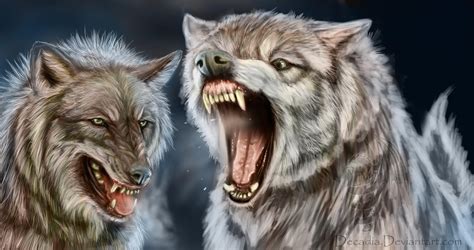 Mad Wolves By Decadia On Deviantart
