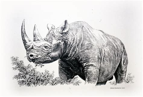 Pin By Russ Sharp On Animal Art 8b Wildlife Art Africa Art Animal Art