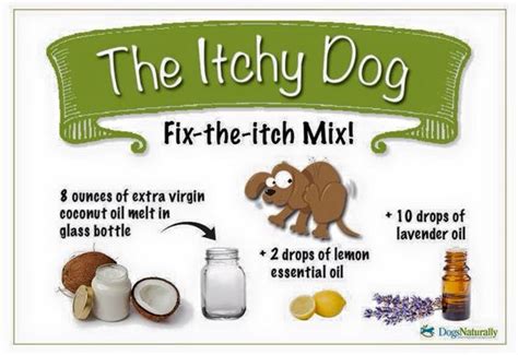 Home Remedies For Dog Skin Problems Allergies