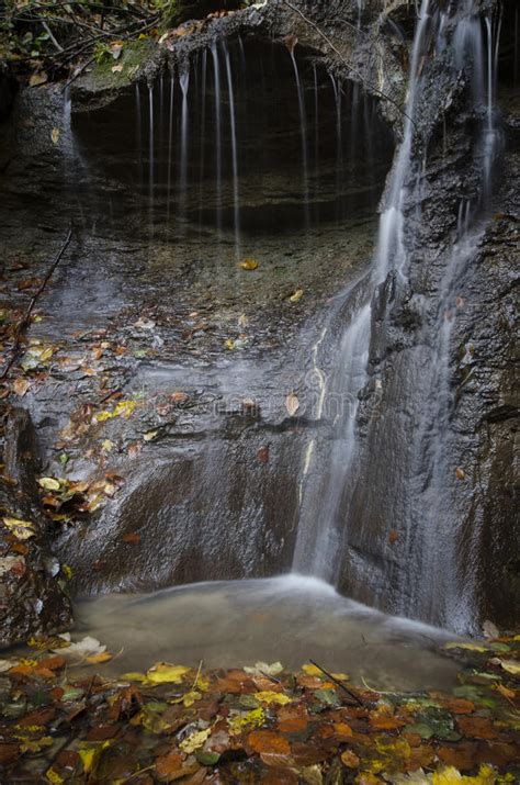Waterfall With Autumn Leaves Stock Photo Image Of Nature Flow 66132832