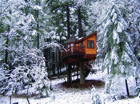 The Tree House Is Surrounded By Snow Covered Trees