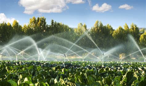 Best do it yourself irrigation system. Best Irrigation System for Vegetable Garden in 2021