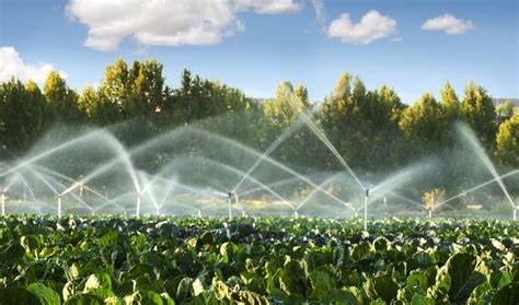 This saves water costs since the controller will automatically here, it stores all the weather information in its database. Best Irrigation System for Vegetable Garden in 2021
