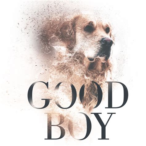 Good Boy Good Boy Good Boy Print4ever Shop