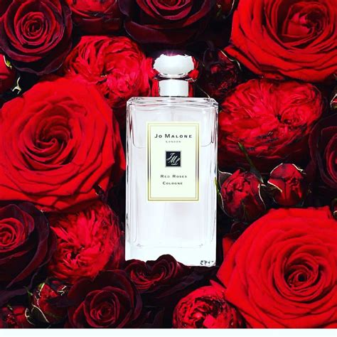 Pin By Joyce Pinay On Rose Obsession Jo Malone Jo Malone London Red Roses Jo Malone Red Roses
