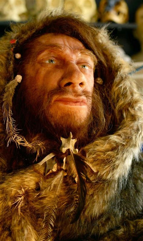 a reconstruction of a neanderthal wearing warm clothing using a bone as a clasp died in the