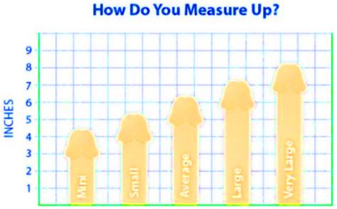 How To Measure Your Penis The Right Way