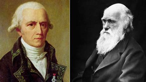 Teorias Da Evolução Lamarck E Darwin Blog Do Portal Educação