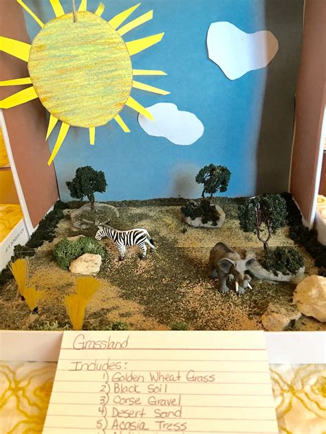 Biome Grassland Project 4th Grade Diy Projects For Kids Science Fair