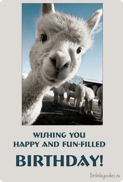 I hope that it turns to be as epic as. Funny birthday wishes, quotes, messages, meme & images ...