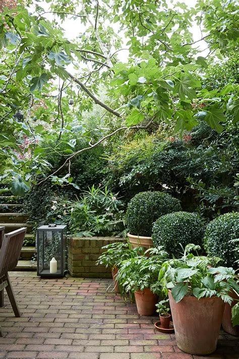 Small Garden Ideas And Design House And Garden Courtyard