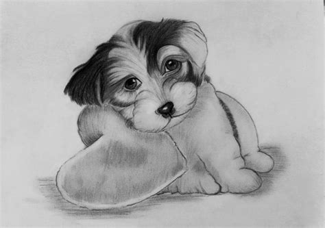 Cute Puppy Pencil Drawing Desenhos