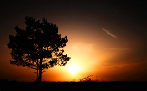 We did not find results for: Sunrise Wallpapers | Wallpapers HD